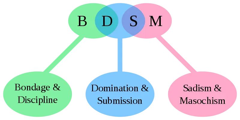 BDSM Acronym Explained